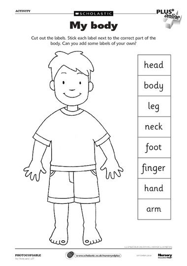 Body Parts Worksheet  Can Use As A Dictionary To Label Parts