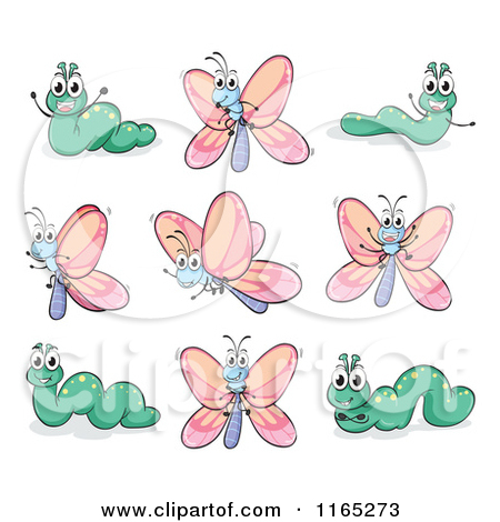 Cartoon Of Caterpillars And Butterflies   Royalty Free Vector Clipart