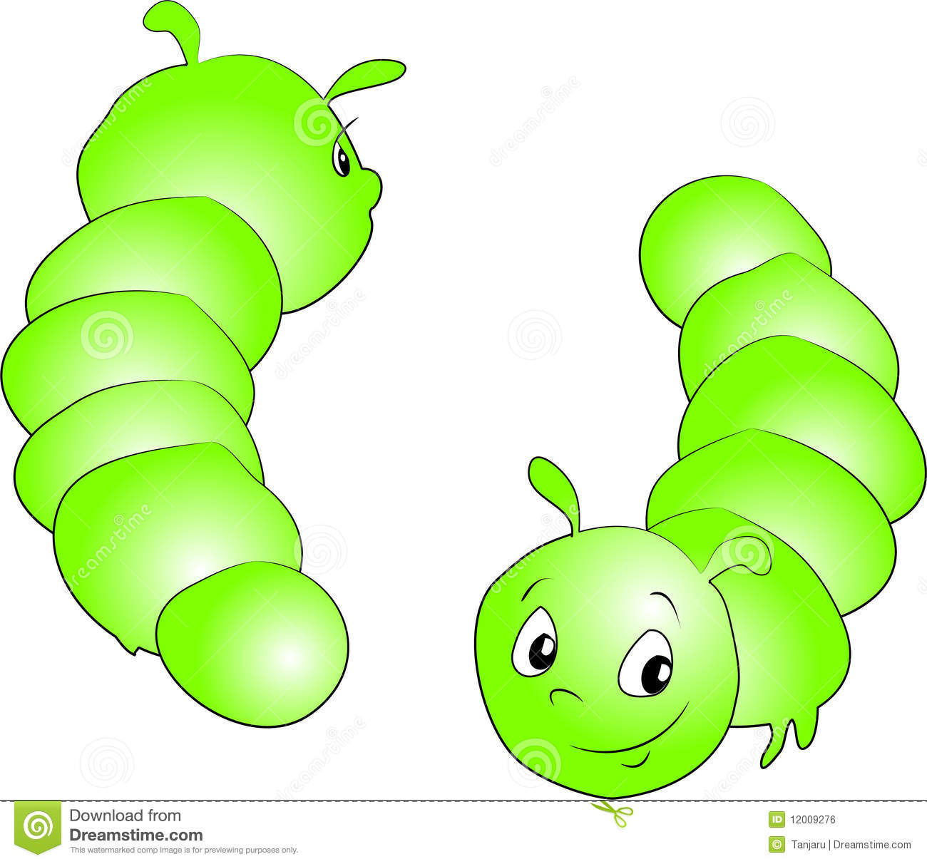 Caterpillars Royalty Free Stock Image   Image  12009276