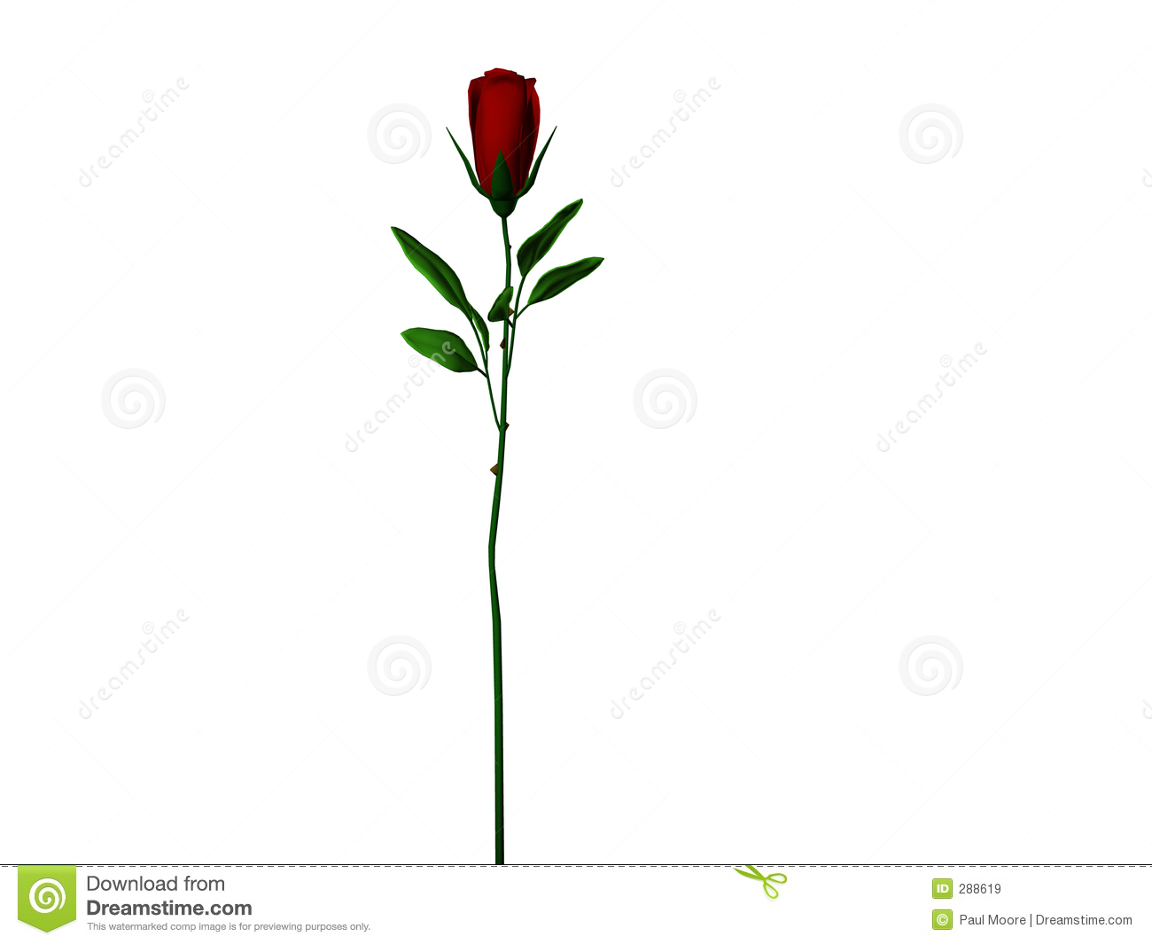 Dark Red Long Stem Rose Royalty Free Stock Images   Image  288619