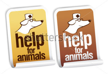 Healthcare   Medical   Help For Animals First Aid Stickers Set