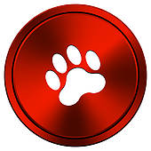 Paw Print Bear Paw Print Wolf Trace Of The Bear Stock Illustrations