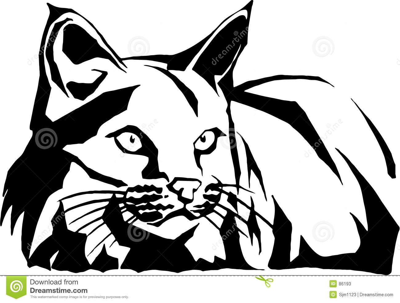 Results For Wildcat Clipart Illustrations And Clip Art 97 Wildcat