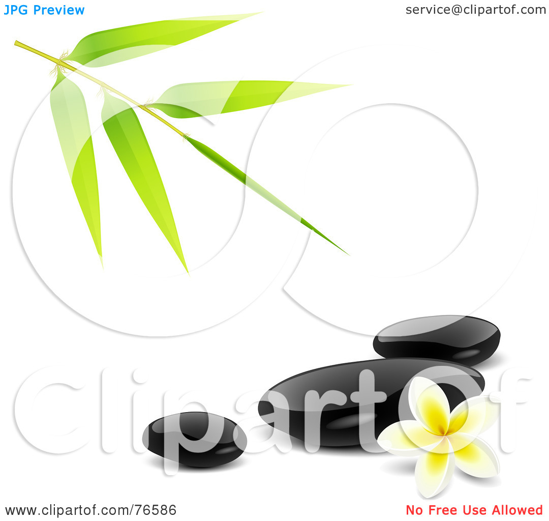Royalty Free  Rf  Clipart Illustration Of A Bamboo Stem Over Black Spa