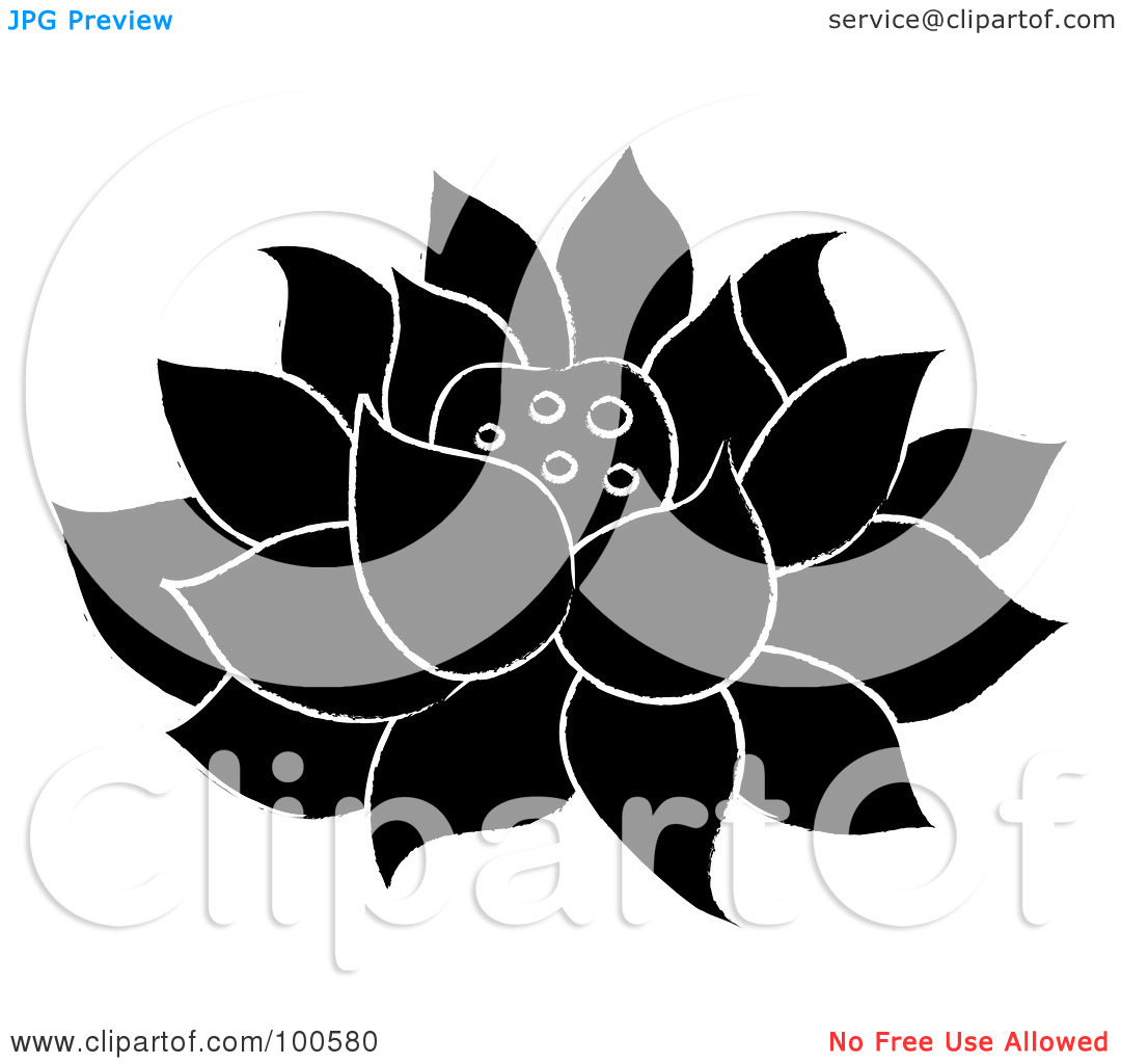 Royalty Free  Rf  Clipart Illustration Of A Black And White Lotus