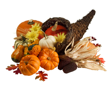 Thursday November 25 And Friday November 26 For The Thanksgiving    