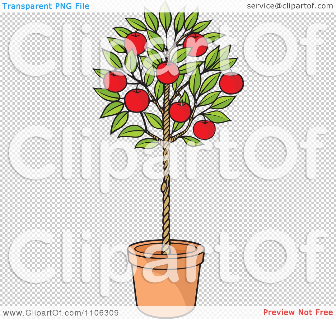 Clipart Potted Apple Tree With Red Fruit   Royalty Free Vector    