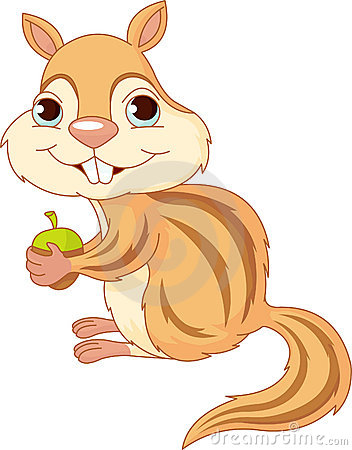 Cute Chipmunk Royalty Free Stock Image   Image  15384176