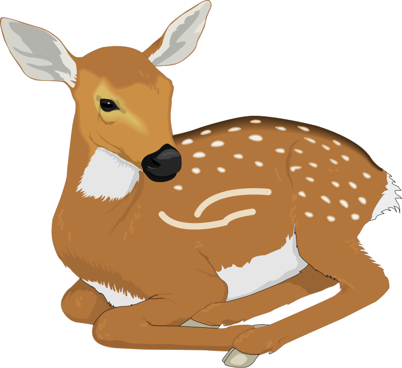 Deer Animal Clipart Pictures Royalty Free   Clipart Pictures Org