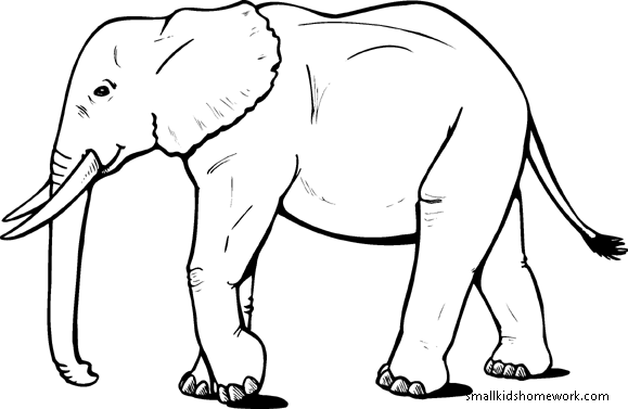Elephant   Outline Picture