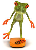 Frog Diet Stock Vectors Illustrations   Clipart