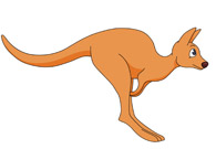 Kangaroo Clipart And Graphics   Quoteko Com