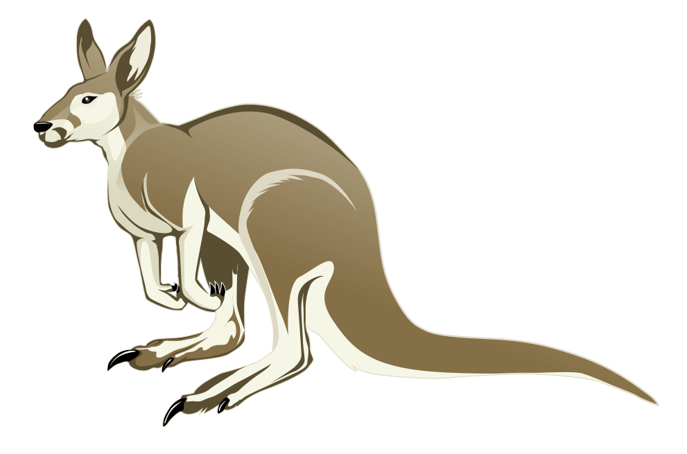Kangaroo4
