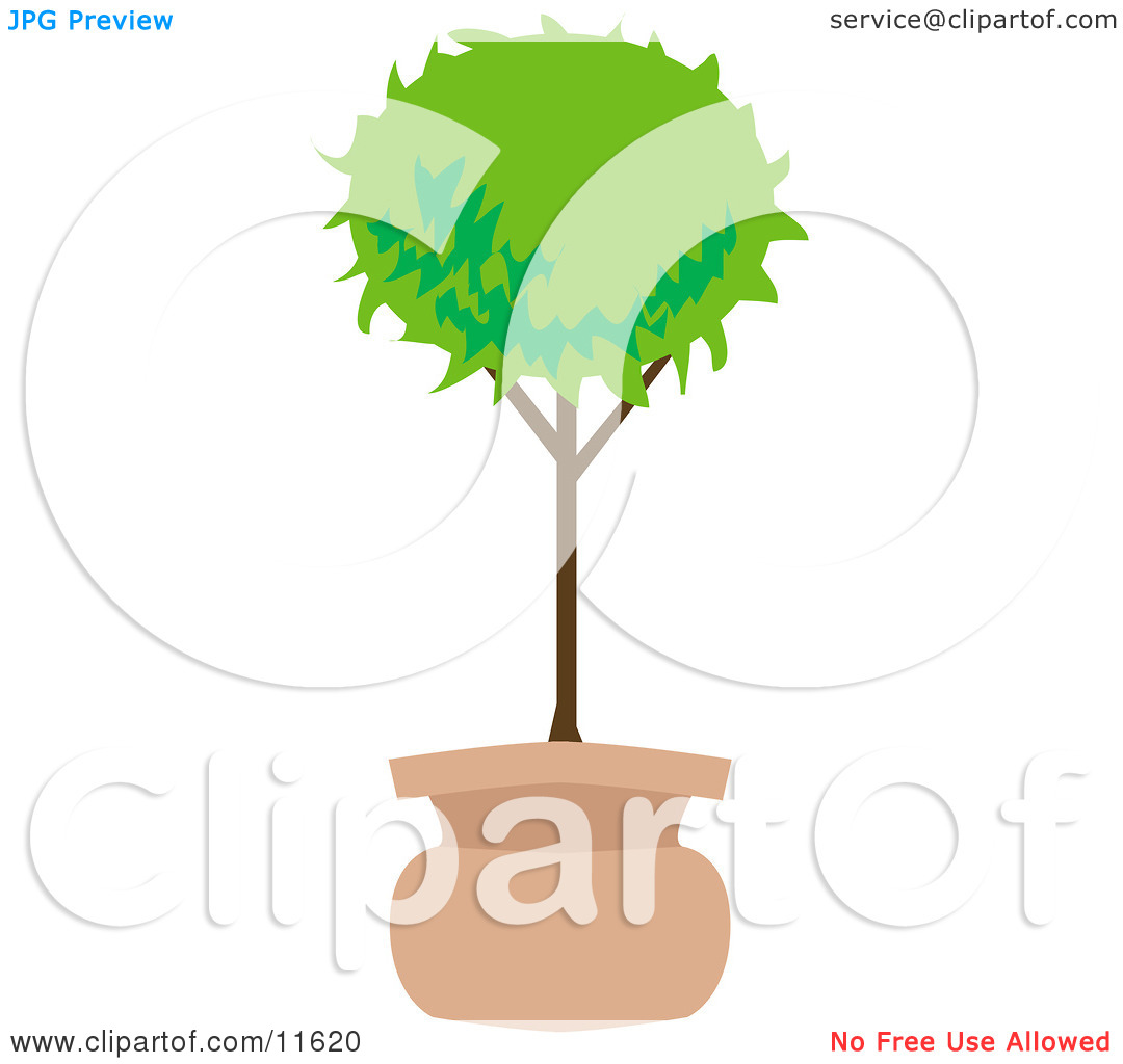 Potted Tree In The Shape Of A Ball Clipart Illustration By Geo Images