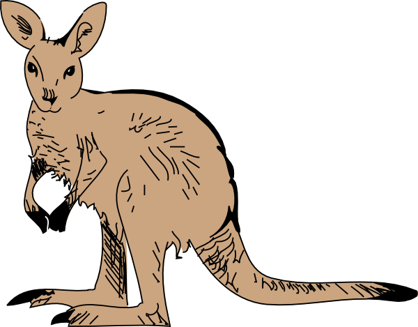 Standing Kangaroo Clip Art At Clker Com   Vector Clip Art Online