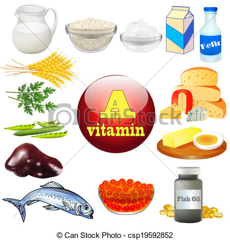 Animal Eating Plants Clipart Vitamin A And Plant And Animal