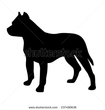 Barking Dog Stock Photos Images   Pictures   Shutterstock