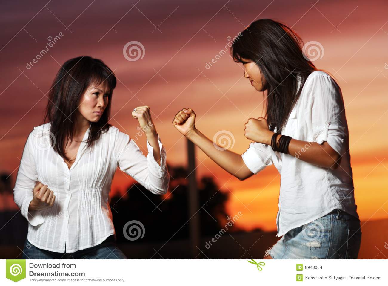 Fighting Women Stock Images   Image  8943004