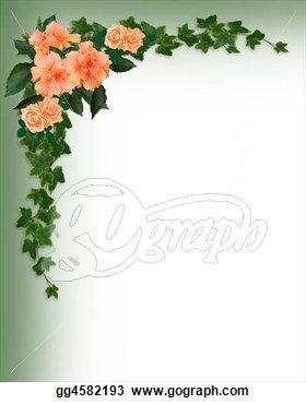 Ivy Hibiscus And Roses Corner  Stock Clipart Gg4582193   Gograph