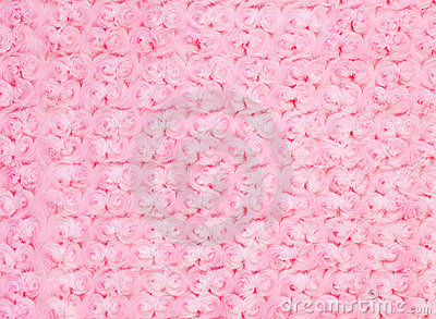 Pink Blanket With Roses Royalty Free Stock Images   Image  21225609