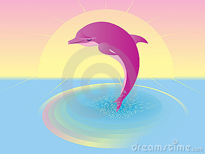 Pink Dolphin Royalty Free Stock Image   Image  12233846