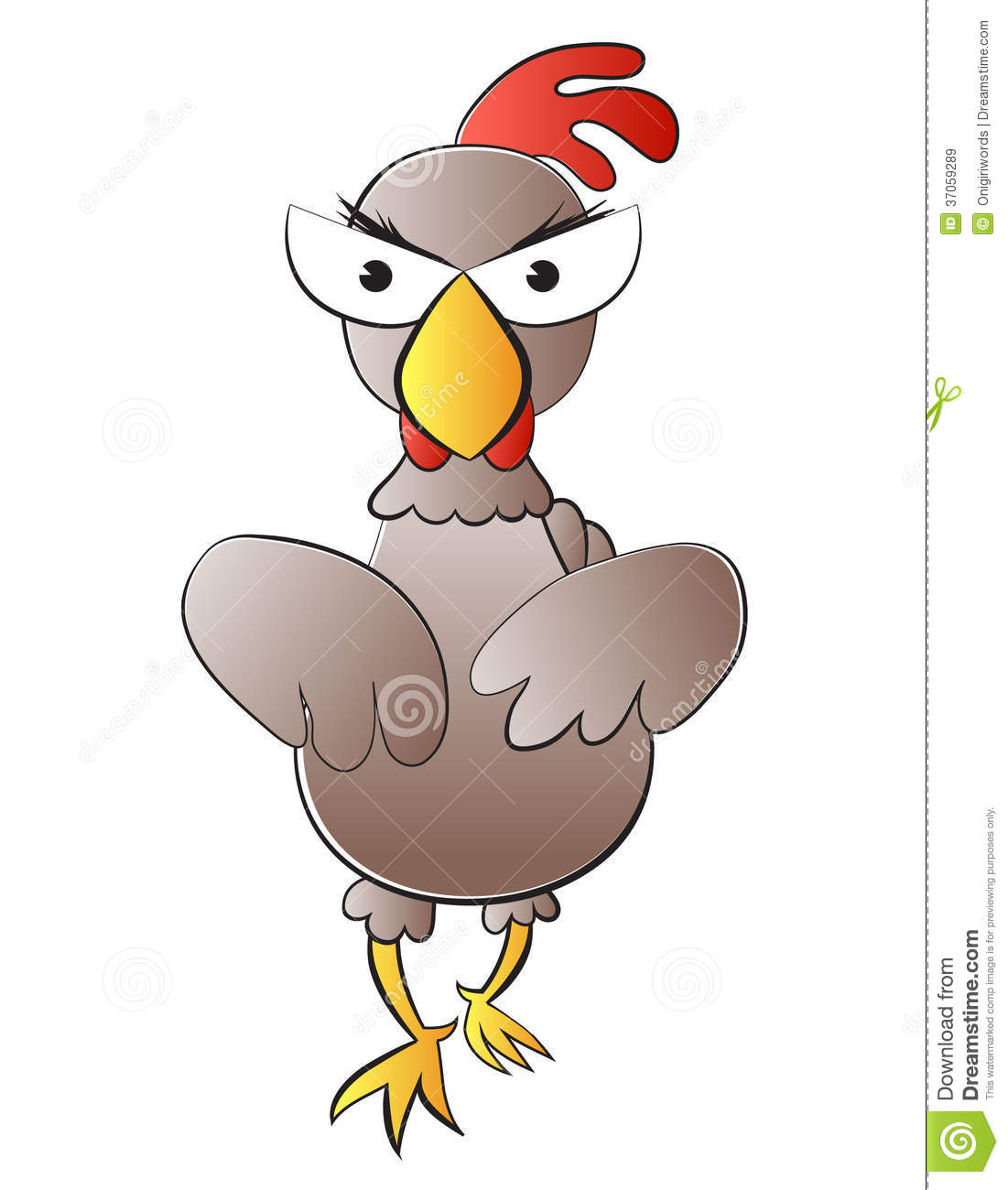 Rooster Royalty Free Stock Images   Image  37059289