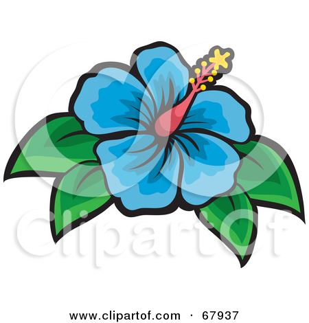 Royalty Free  Rf  Blue Hibiscus Flowers Clipart   Illustrations  1