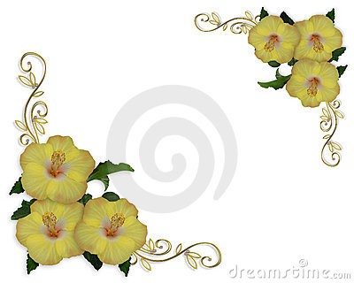 With Yellow Hibiscus Gold Accents On White Background Copy Space