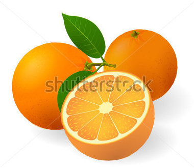 Browse   Food   Drinks   Ripe Oranges With Fresh Green Leafs  Vector
