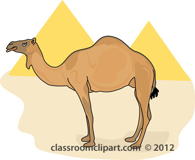 Camel Clipart   Camel In Front Of Egypt Pyramids 212   Classroom