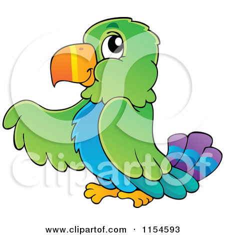 Cartoon Of A Red Parrot   Royalty Free Vector Clipart
