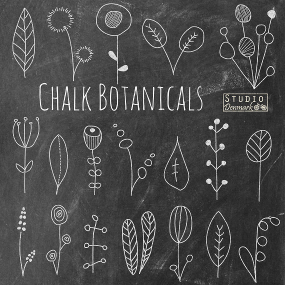 Chalkboard Flower Doodles Clipart   Chalk Botanicals Hand Drawn    