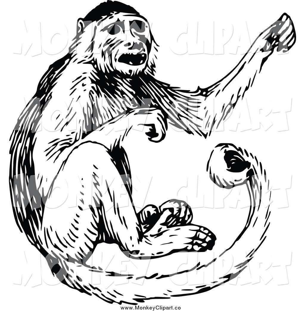 Clip Art Of A Black And White Monkey By Prawny Vintage    2434