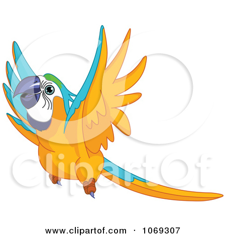 Clipart Flying Macaw Parrot   Royalty Free Vector Illustration By