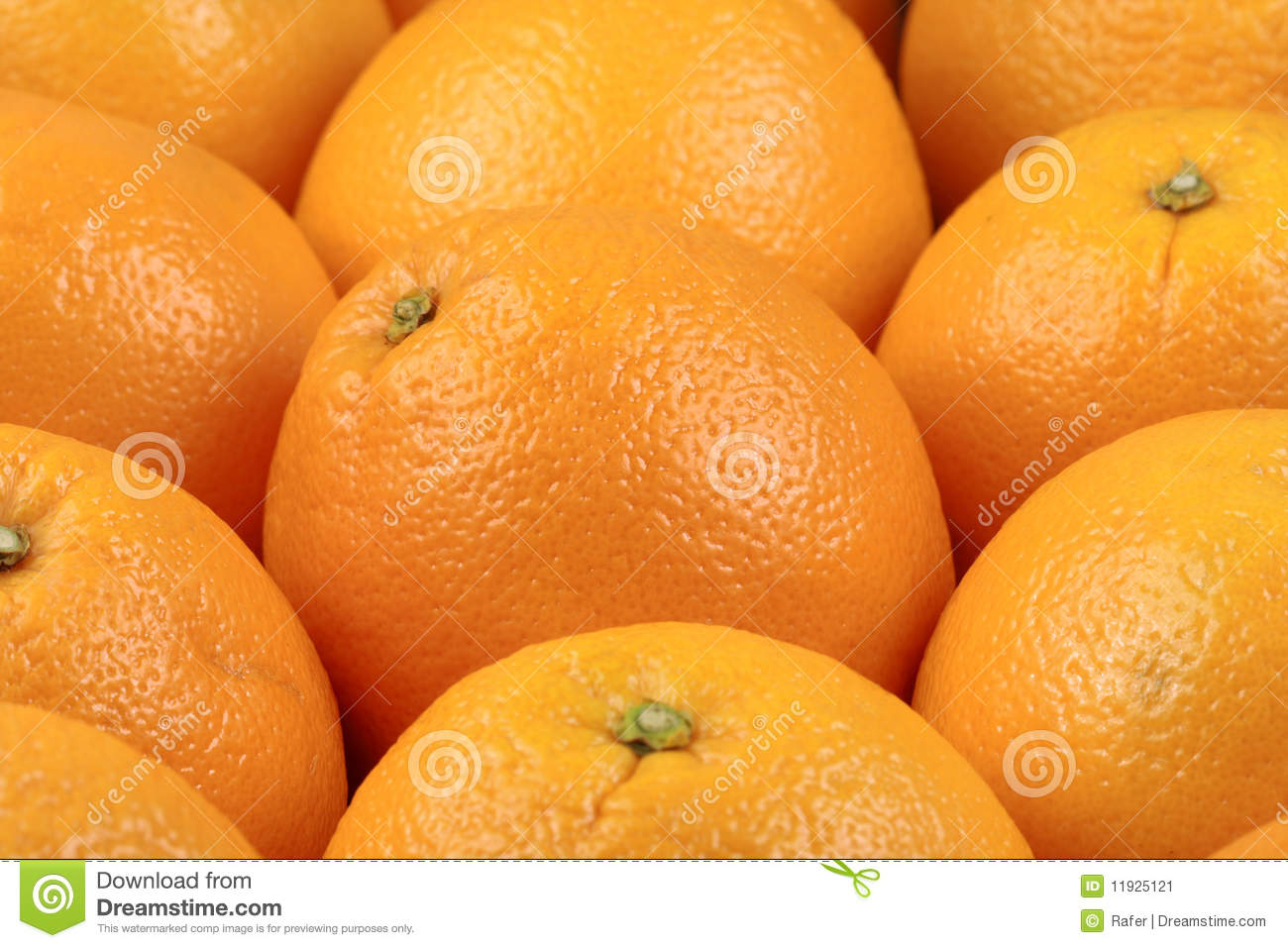 Fresh Oranges Stock Image   Image  11925121