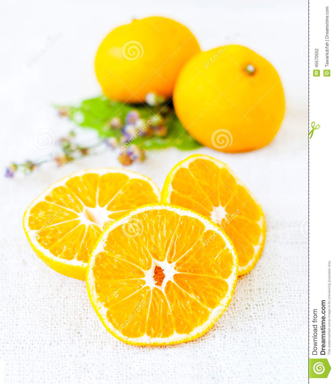 Fresh Oranges Stock Photo   Image  45570552