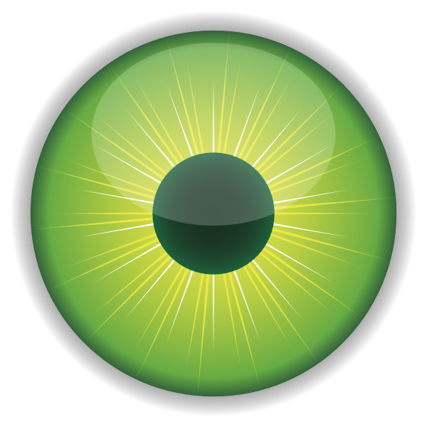 Green Eye Clip Art At Clker Com   Vector Clip Art Online Royalty Free    