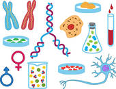 Illustration Of Biology Icons   Royalty Free Clip Art