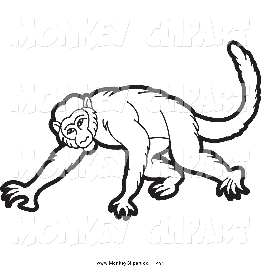     Monkey Clipart Black And White   Clipart Panda   Free Clipart Images