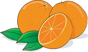 Orange Slice Clipart Juicy Fresh Oranges Fresh Off The Tree One Sliced