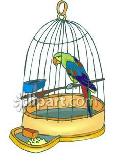 Parrot In A Small Cage   Royalty Free Clipart Picture