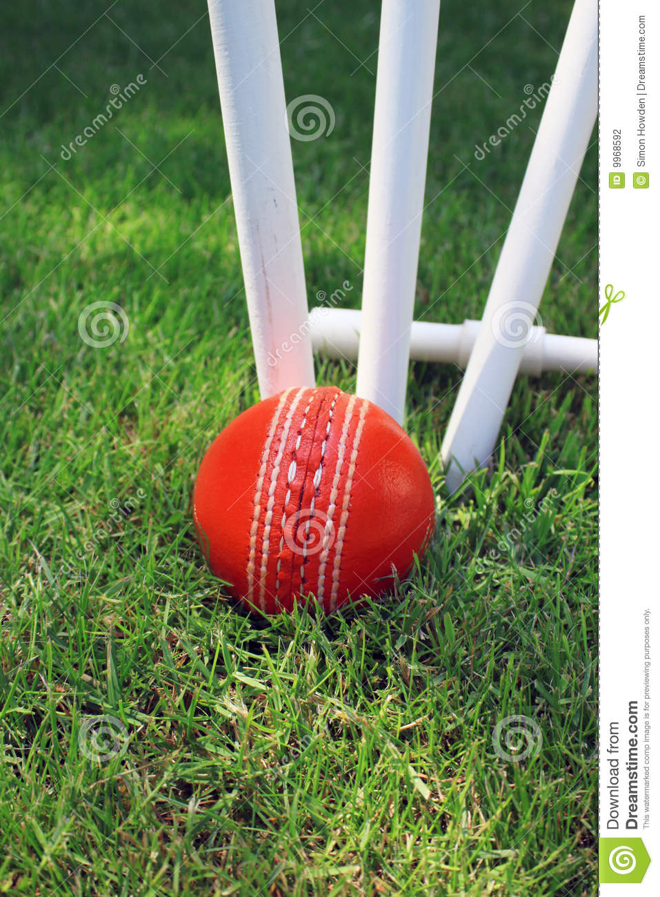 Red Leather Cricket Ball Lying In Green Grass At The Base Of Three