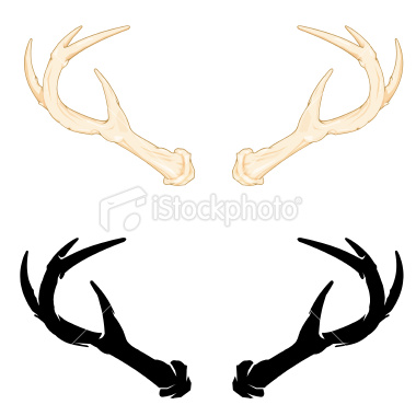 Deer Antlers Clipart   Clipart Panda   Free Clipart Images