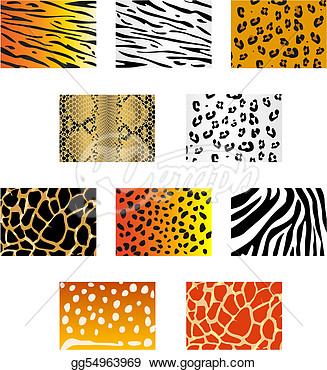     Of Animal Fur And Skin Patterns For Design  Clipart Drawing Gg54963969