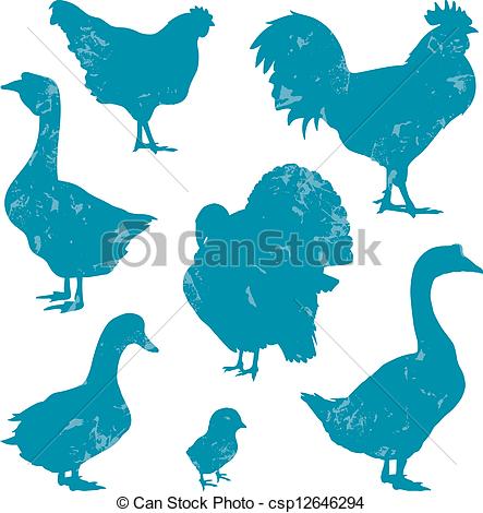 Poultry Farm Birds Silhouettes