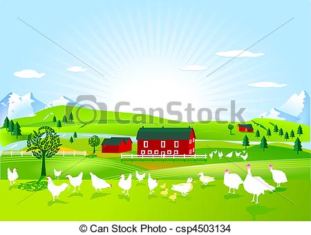Poultry Farm   Csp4503134