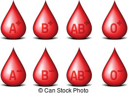 Blood Types   Detailed Illustration Of Drops Of Blood With