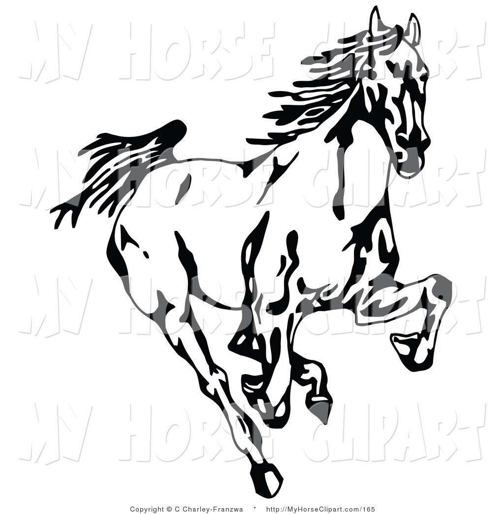 Clip Art Of A Black And White Wild Mustang Horse Running Forward