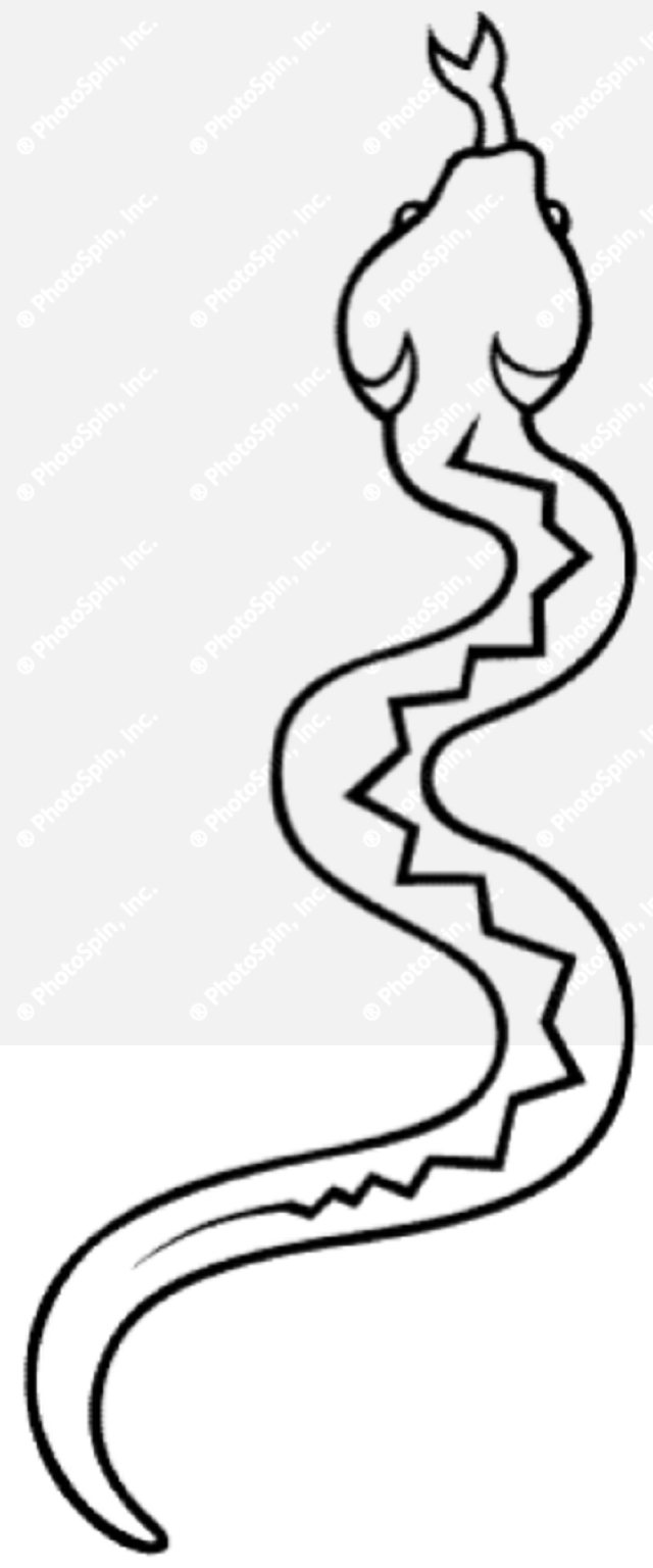 Cute Snake Clipart Black And White   Clipart Panda   Free Clipart