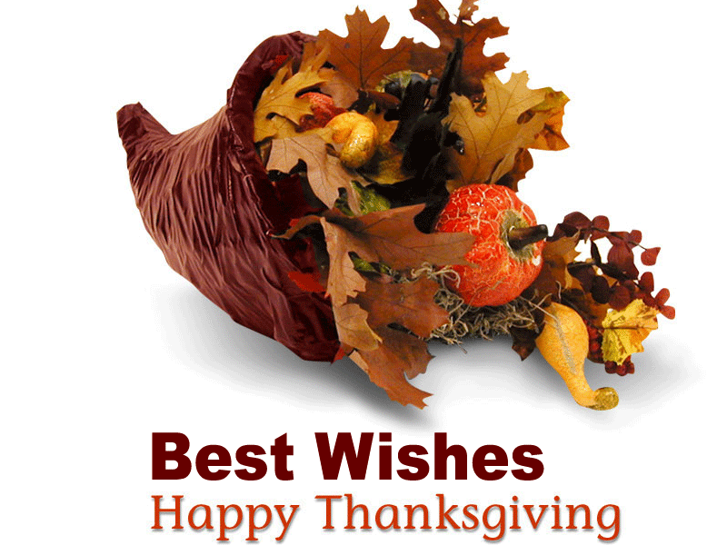Download Thanksgiving Day Wallpaper  Animated Thanksgiving